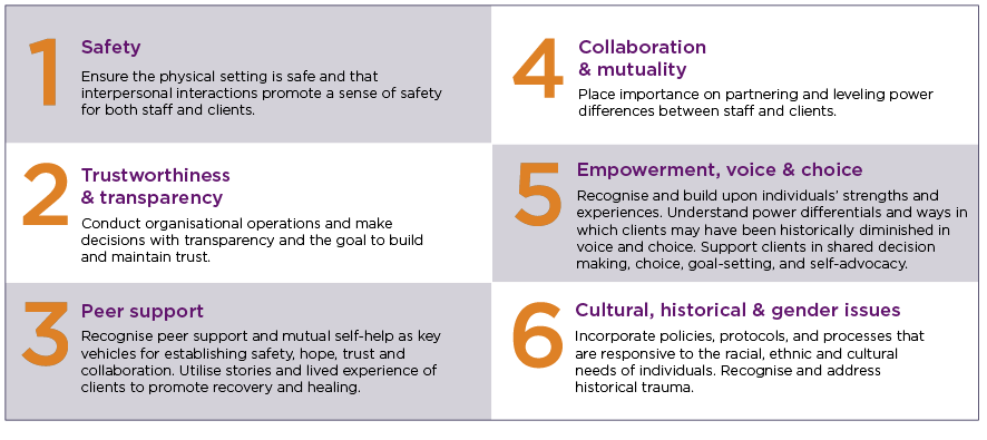Safety Trustworthiness & transparency Peer support Collaboration & mutuality Empowerment, voice & choice Cultural, historical & gender issues Recognise and build upon individuals’ strengths and experiences. Understand power dierentials and ways in which clients may have been historically diminished in voice and choice. Support clients in shared decision making, choice, goal-setting, and self-advocacy. Incorporate policies, protocols, and processes that are responsive to the racial, ethnic and cultural need