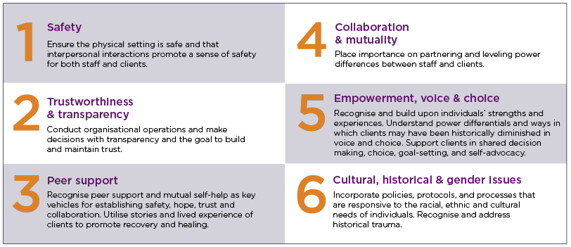 Safety Trustworthiness & transparency Peer support Collaboration & mutuality Empowerment, voice & choice Cultural, historical & gender issues Recognise and build upon individuals’ strengths and experiences. Understand power dierentials and ways in which clients may have been historically diminished in voice and choice. Support clients in shared decision making, choice, goal-setting, and self-advocacy. Incorporate policies, protocols, and processes that are responsive to the racial, ethnic and cultural need