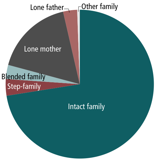 Figure 2. Relationships within the family, families with children aged 0-17 years, 2006-07