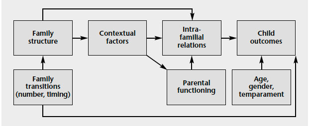 Figure 1. Mediation and moderation model of the relationship between family structure and child outcomes, described in text