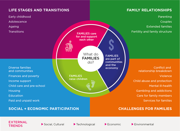 families framework infographic
