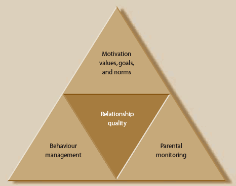 Figure 1. Social interactional parenting model, described in text.