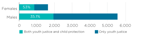 Figure 7: Number of young people under youth justice supervision by involvement in the child protection system, 1 July 2014–30 June 2016