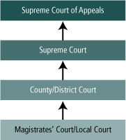 Figure 1: Child protection system framework