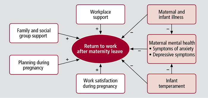Family Matters Issue 90 The Role Of Planning Support And