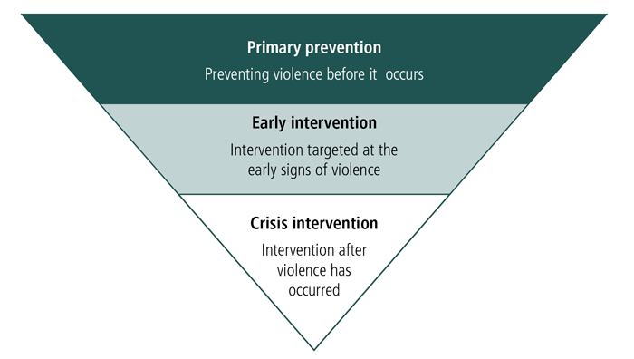 Figure 2: Indigenous Family Violence Framework - as described in text