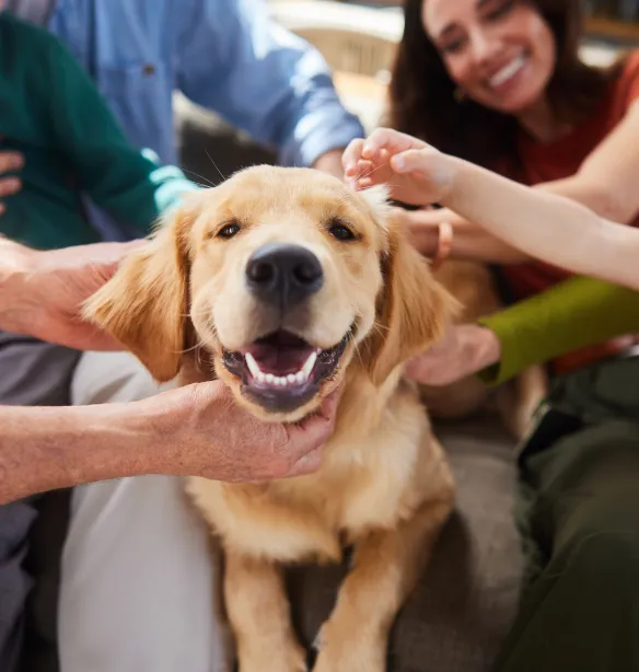 Smiling multi-generation family petting their golden retriever while sitting together on a sofa in their living room at home