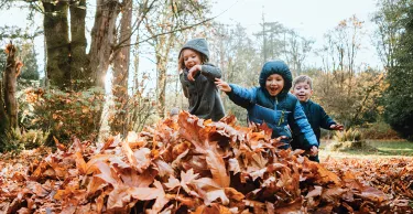 A group of children runs excitedly to jump into a pile of raked up maple leaves. A beautiful sunny day in the Pacific Northwest, Washington, United States.