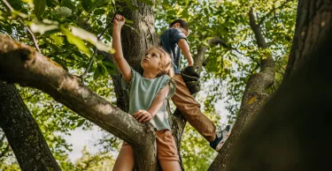 Little brother and sister playing together on a tree outdoors.