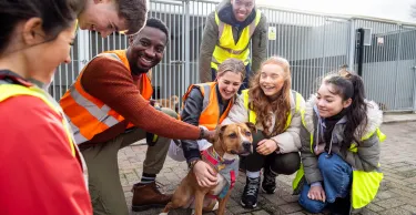 Group of teenagers volunteering at an animal shelter. They are wearing high vis vests standing outdoors crouching around a dog, petting it.
