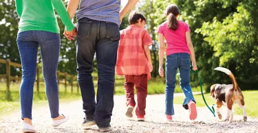 Rear view of family walking in the park