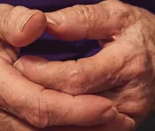 Close up of an old peraon's hands. Close up of an old peraon's hands.