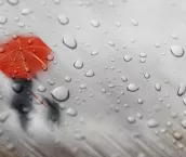 rainy day umbrella rainy day umbrella