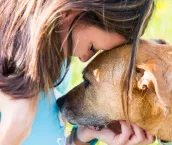 Senior dog consoles a young woman as they share a quiet moment of understanding
