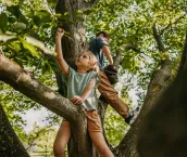 Little brother and sister playing together on a tree outdoors.