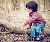 Toddler in a forest sitting on a log of wood