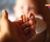 Close up of a hand holding newborn baby's hand