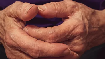 Close up of an old peraon's hands. Close up of an old peraon's hands.