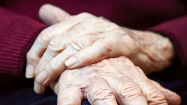 Close up of senior hands.