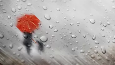 rainy day umbrella