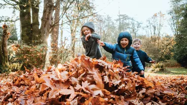 A group of children runs excitedly to jump into a pile of raked up maple leaves. A beautiful sunny day in the Pacific Northwest, Washington, United States. A group of children runs excitedly to jump into a pile of raked up maple leaves. A beautiful sunny day in the Pacific Northwest, Washington, United States.