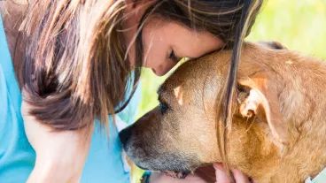 Senior dog consoles a young woman as they share a quiet moment of understanding