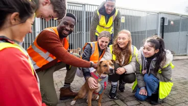Group of teenagers volunteering at an animal shelter. They are wearing high vis vests standing outdoors crouching around a dog, petting it.