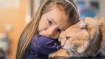  Young girl and her Maine Coon cat on the visit to the vet