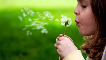 Representing children in legal proceedings Representing children in legal proceedings