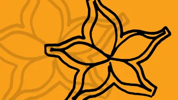 Barriers, incentives and strategies to enhance recruitment of Indigenous carers