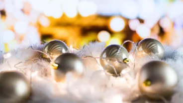 CFCA in 2017: A year in review